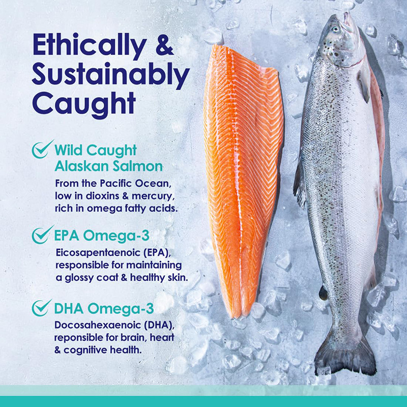 오메가 3 강아지용 어유, 아이슬란드에서 자연적으로 잡 - Omega 3 Fish Oil 리뷰 및 가격