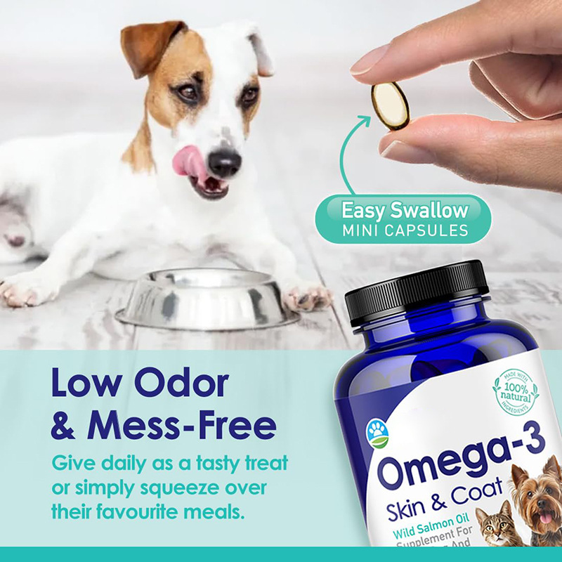 오메가 3 강아지용 어유, 아이슬란드에서 자연적으로 잡 - Omega 3 Fish Oil 리뷰 및 가격